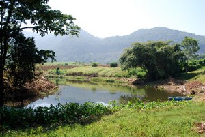 Creek in Oaxaca, Mexico